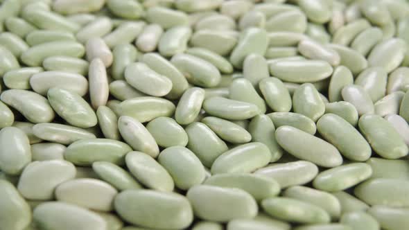 Spanish green beans Verdina close up. Rotation. Dry Asturian legumes