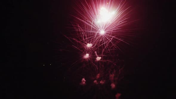 Fireworks In Night The Sky