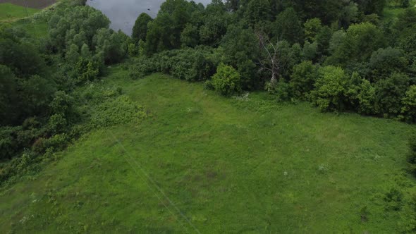 Agricultural Fields Near the Pond