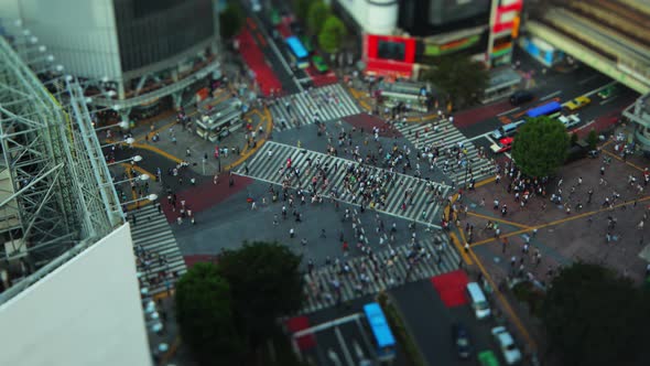 Shibuya Crossing In Tokyo Japan 