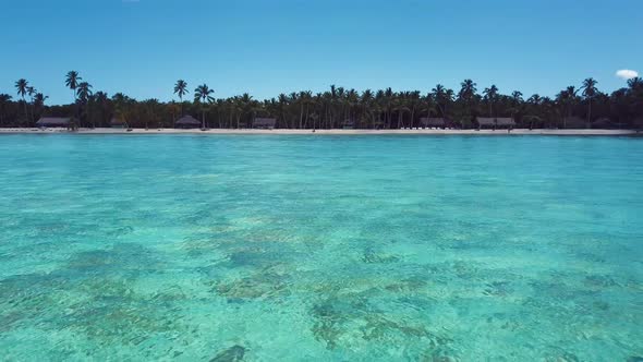 4k 24fps Drone Shoot Of The Carbbean Beach With Palmstree And Crystal Water 6