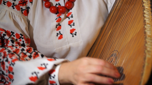 Ukrainian Folk Musical Instrument 4