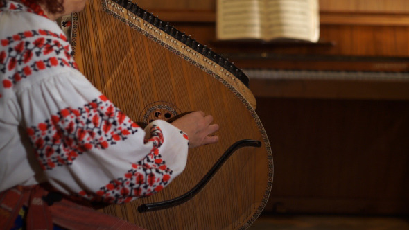 Ukrainian Folk Musical Instrument 7
