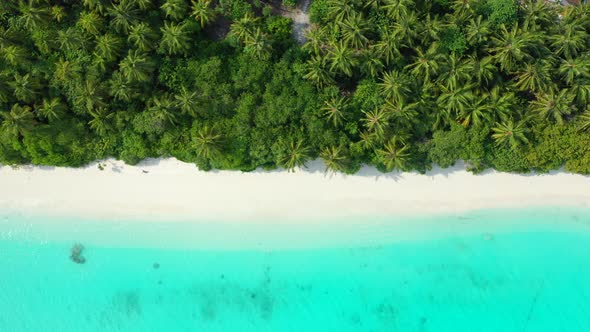 Tropical birds eye abstract view of a white sandy paradise beach and blue water background in colour