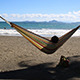 Holiday on a Summer Beach in a Hammock - VideoHive Item for Sale