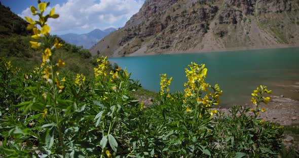 Lake in the mountains of Uzbekistan. View through yellow flowers Central Asia Tian Shan mountains, L