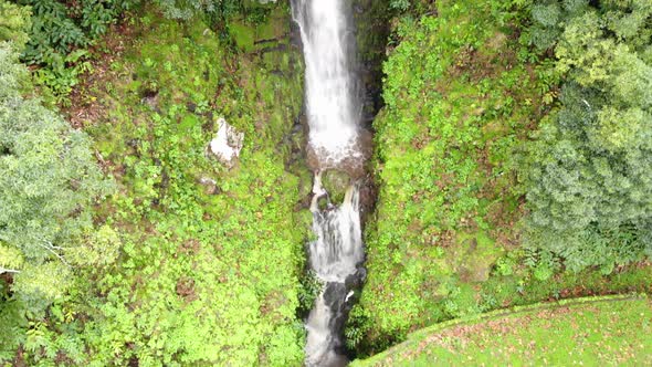 Waterfall in Sao Miguel Island, Azores. Luxuriant green vegetation 