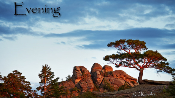 Evening With Rock And Tree