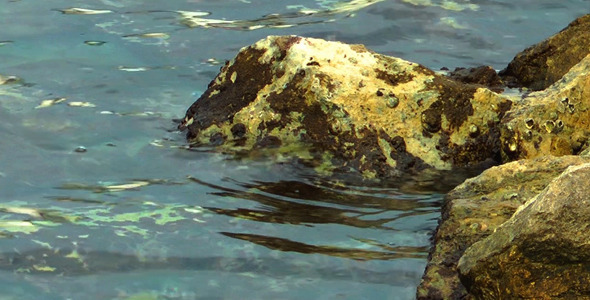 Rocks and the Sea alt