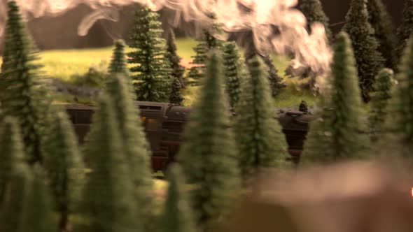 Model of Railway Freight Train Passing the Forest.