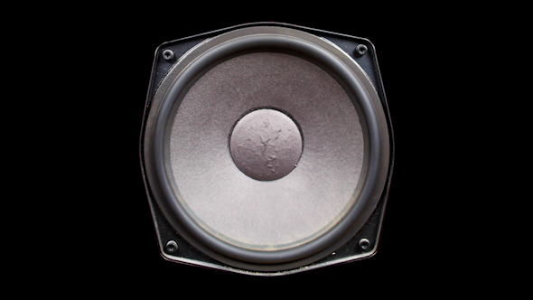 Speaker Pump 03