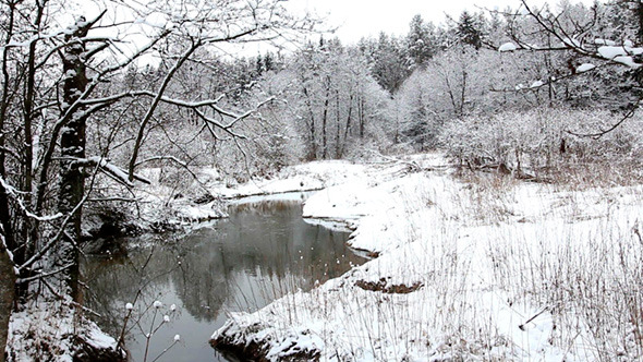 River Middle of Winter