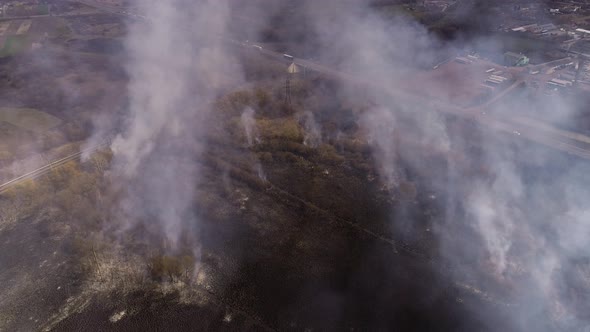 Massive Fire, Dry Grass Lanes in Fire, Firefighters at Work, Disaster, Ecological Catastrophe