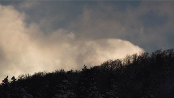 Clouds in the Blue Sky over the Forest alt