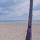 Ft. Lauderdale Beach - VideoHive Item for Sale