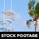 Fishing Boat and Palm Tree - VideoHive Item for Sale