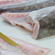 Commercial Fishery - VideoHive Item for Sale