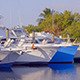 Boats - VideoHive Item for Sale
