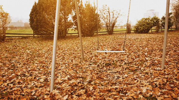 Abandoned Playground Full Of Leaves