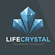 Life Crystal Logo Template - GraphicRiver Item for Sale