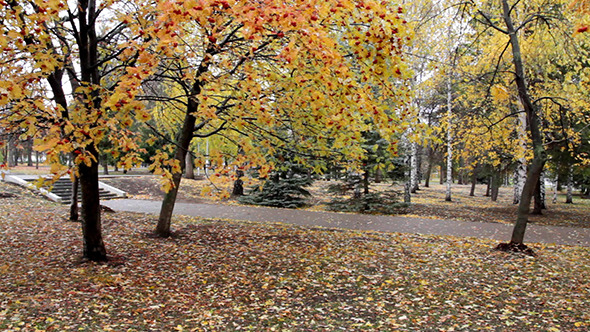 Autumn Park