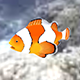 Animated Clownfish - 3DOcean Item for Sale