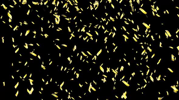 Shiny yellow confetti continuously falls to the bottom against a dark isolated background.