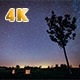 Star Trails in a Park - VideoHive Item for Sale