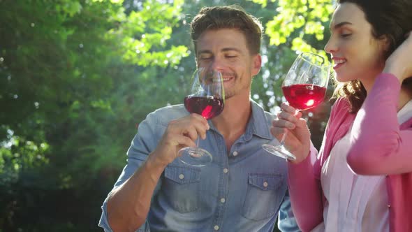 Happy couple having red wine in park