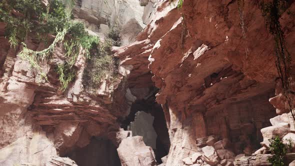 Inside a Limestone Cave with Plants and Sun Shine