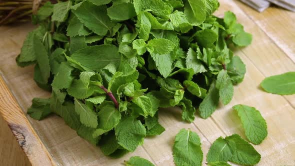 Single bunch of fresh picked spearmint with single leaves in front 