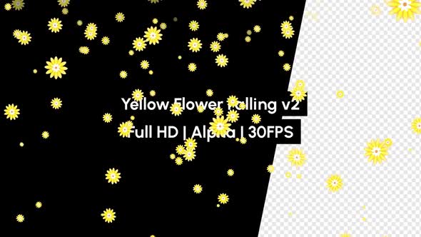 Yellow Flower Falling with Alpha