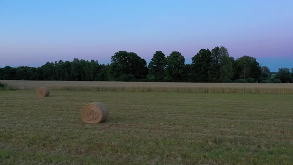 Field at Golden Hour