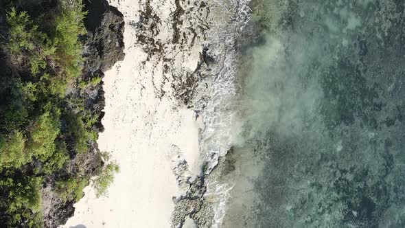 Zanzibar Tanzania  Vertical Video Empty Beach Slow Motion