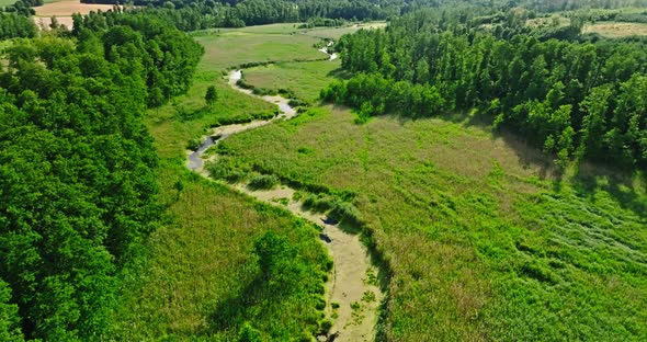 Aerial view of river among the green forest and swamps