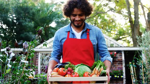 Gardener carrying crate of fresh vegetables