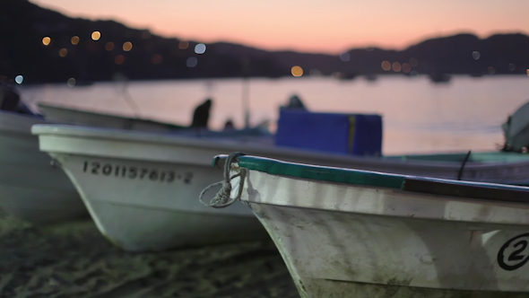 Fishermen Fish Boats Mexican Coast 1 alt