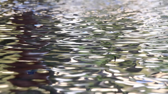 Lake Abstract 01 alt