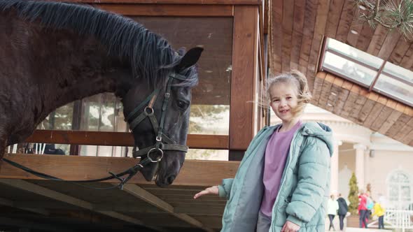 Little Girl Feeding Bread to a Beautiful Black Harnessed Horse