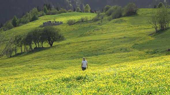 Alone Woman Walks in Yellow Flowered Plateau Meadow