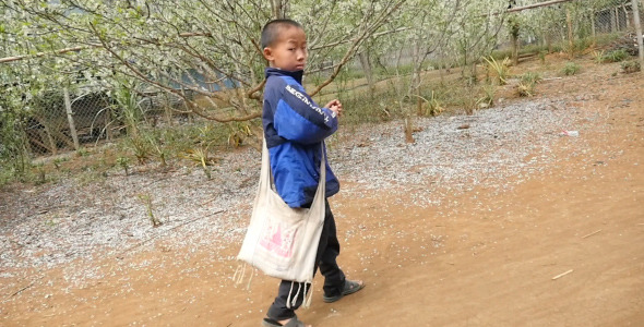 Kid Walking To School