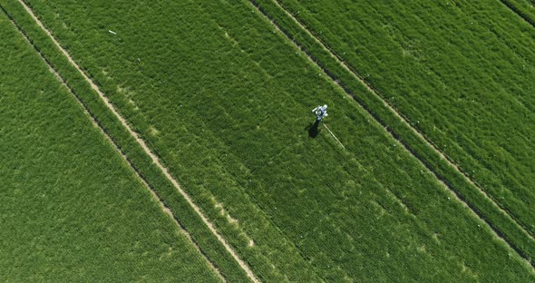 Agricultural Researcher Spraying Filed with Herbicides or Pesticides