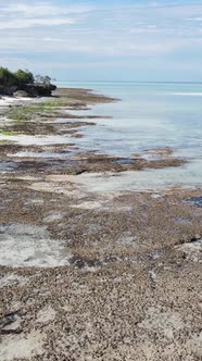 Tanzania  Vertical Video of the Ocean Near the Coast of Zanzibar Slow Motion