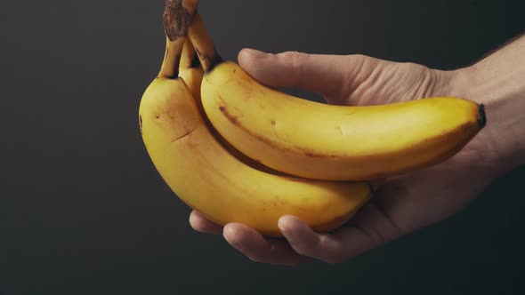 Hand holds a bunch of ripe bananas on a dark background. 