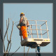 Gardener on a Crane Cutting Tree Branches - VideoHive Item for Sale
