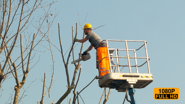 Gardener on a Crane Cutting Tree Branches