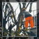 Gardener on a Crane Cutting Tree Branches - VideoHive Item for Sale