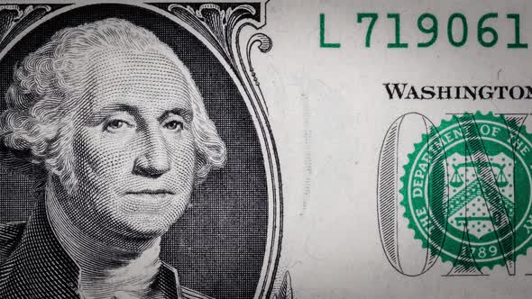 Fragments of Different Paper Dollars Change Each Other in Stop Motion Money