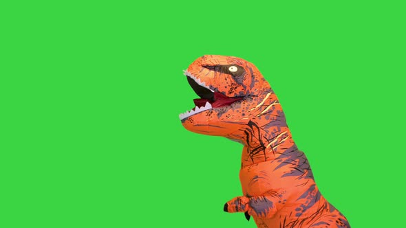 Funny Appearance of Dancing Orange Dinosaur on a Green Screen Chroma Key