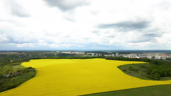 Aerial view of spring rapeseed flower field